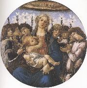 Sandro Botticelli Madonna and Child with eight Angels or Raczinskj Tondo (mk36) oil painting